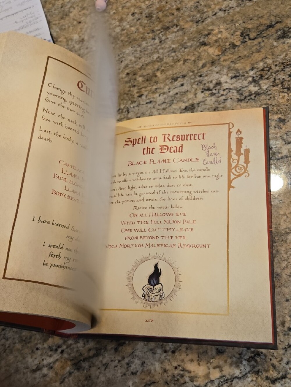 Hocus Pocus Book - Picture 3 of 5
